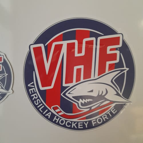 Customer photo review of Sticker Vinile Classico