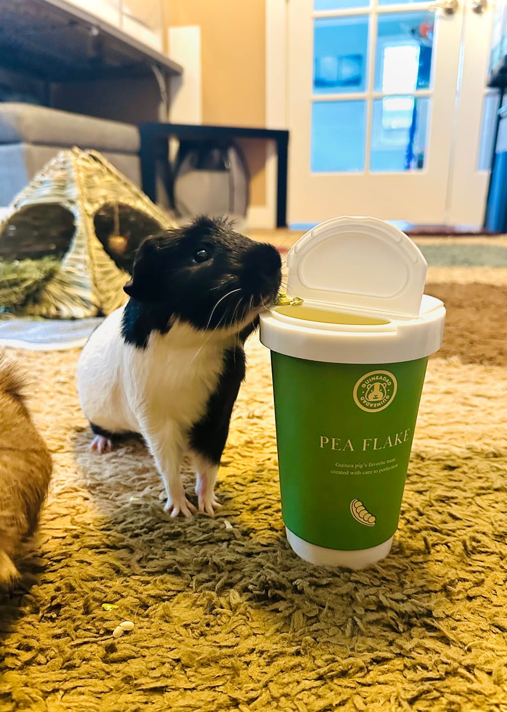Customer photo review of Pea Flakes Treat Cup