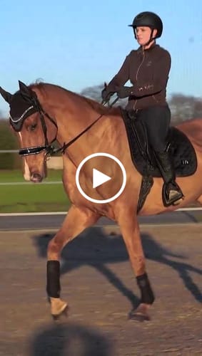 Customer video review of Trense Glamourös mit Lack und Crystal Dust, anatomisch mit oder ohne Sperrriemen