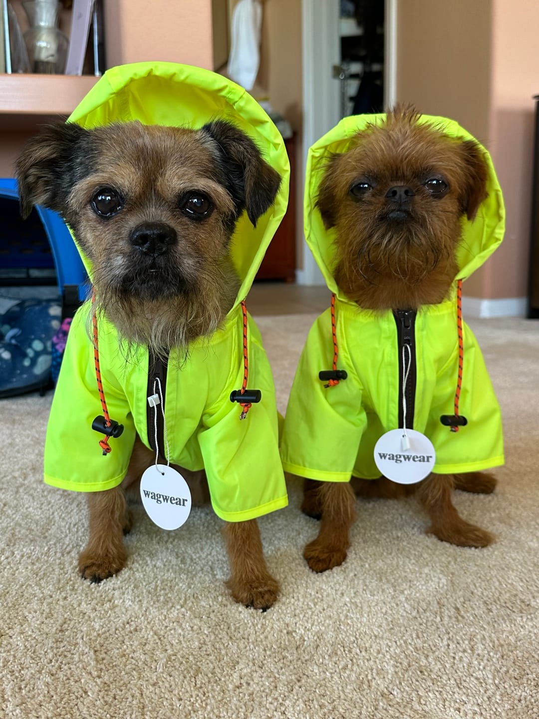 Customer photo review of Nylon Rainbreaker