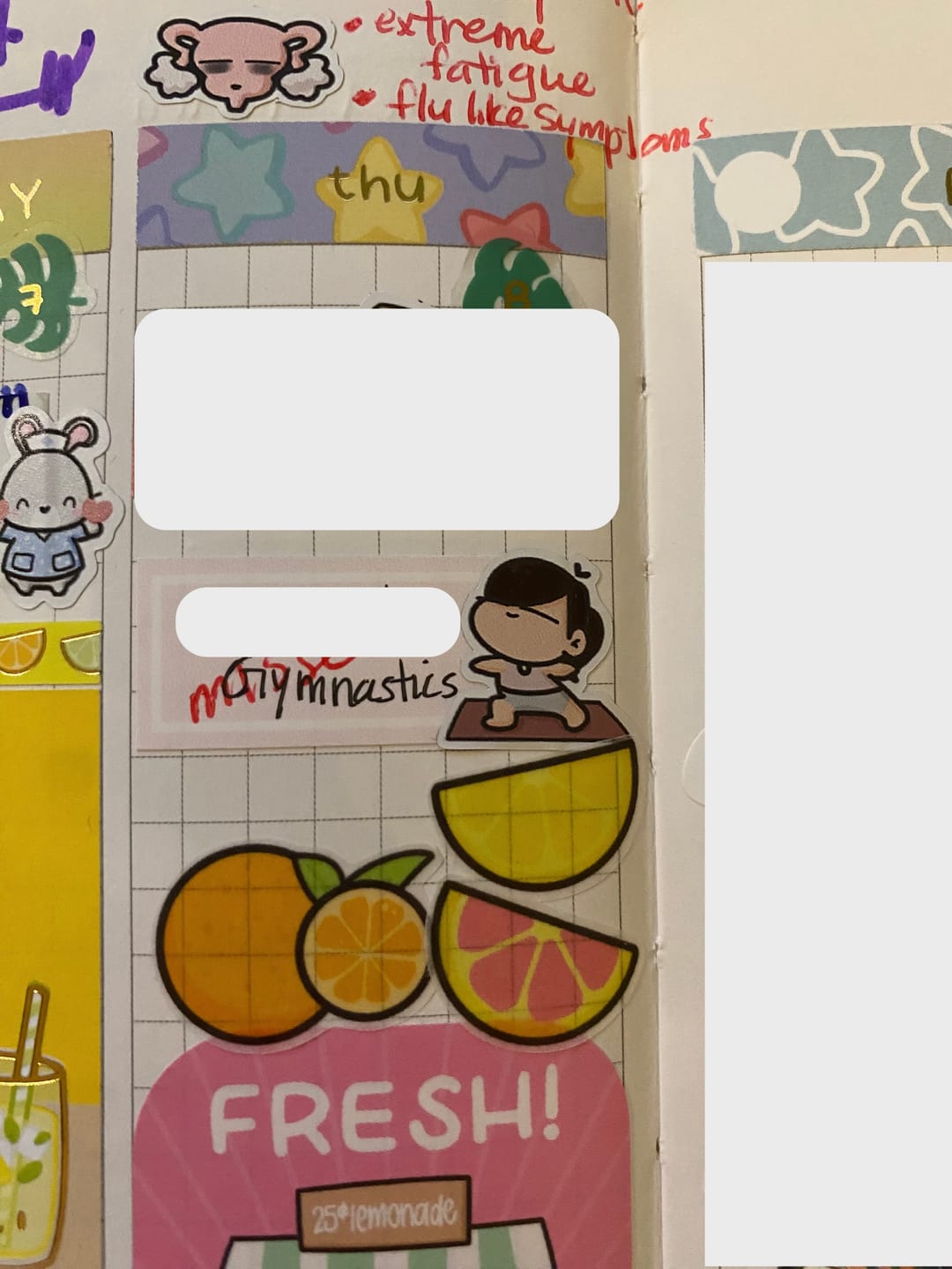 Customer photo review of Elliptical Planner Stickers