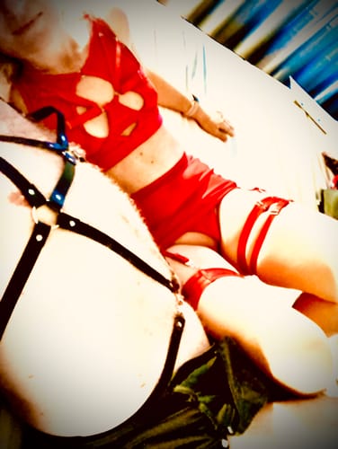 Customer photo review of Edward's Chest Harness