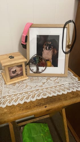 Customer photo review of Personalized Engraved Heart Bracelet I'm Always With You - Memorial Gift For Dog/Pet Lovers