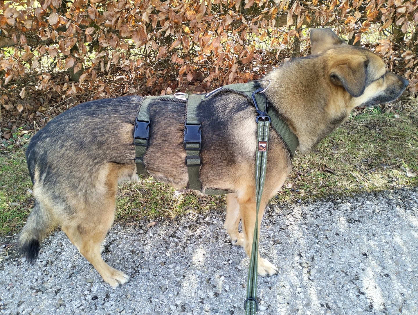 Customer photo review of Sicherheitsgeschirr FUN "Mountain Green"