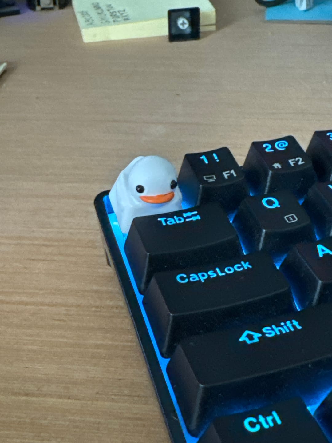 Customer photo review of Duckey Keycap