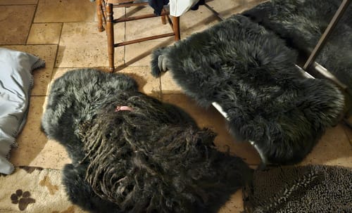 Customer photo review of 30% OFF PROMOTION Dark Grey Sheepskin