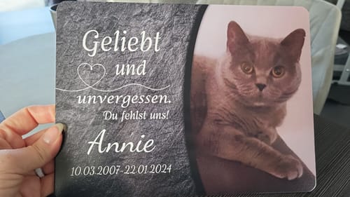 Customer photo review of Katzen Gedenktafel mit Foto & Spruch (UV- & Wetterfest)