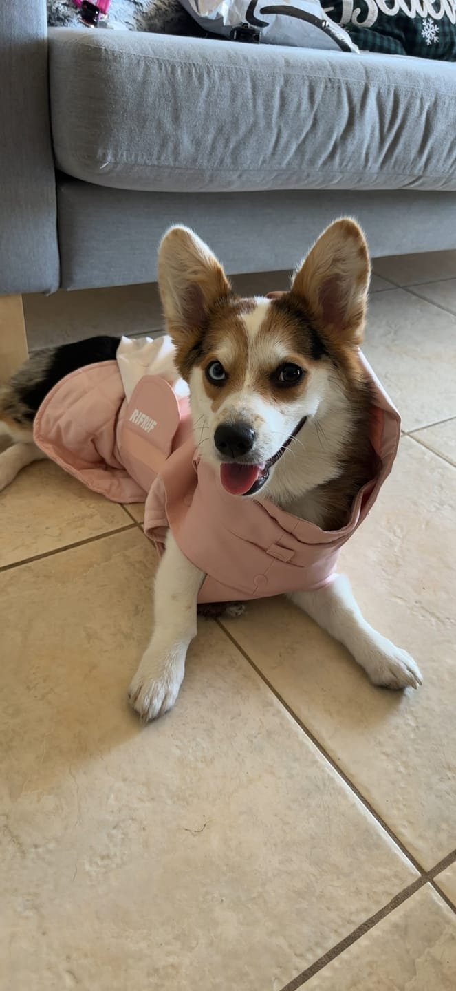 Customer photo review of Stormhunter Raincoat