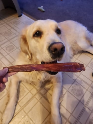 Customer photo review of Large Gnaw Box