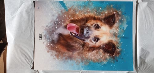 Customer photo review of Foto de tu mascota en estilo acuarela | Regalo para cachorros, perros y gatos