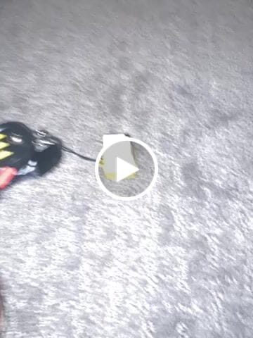 Customer video review of FREE Clickey