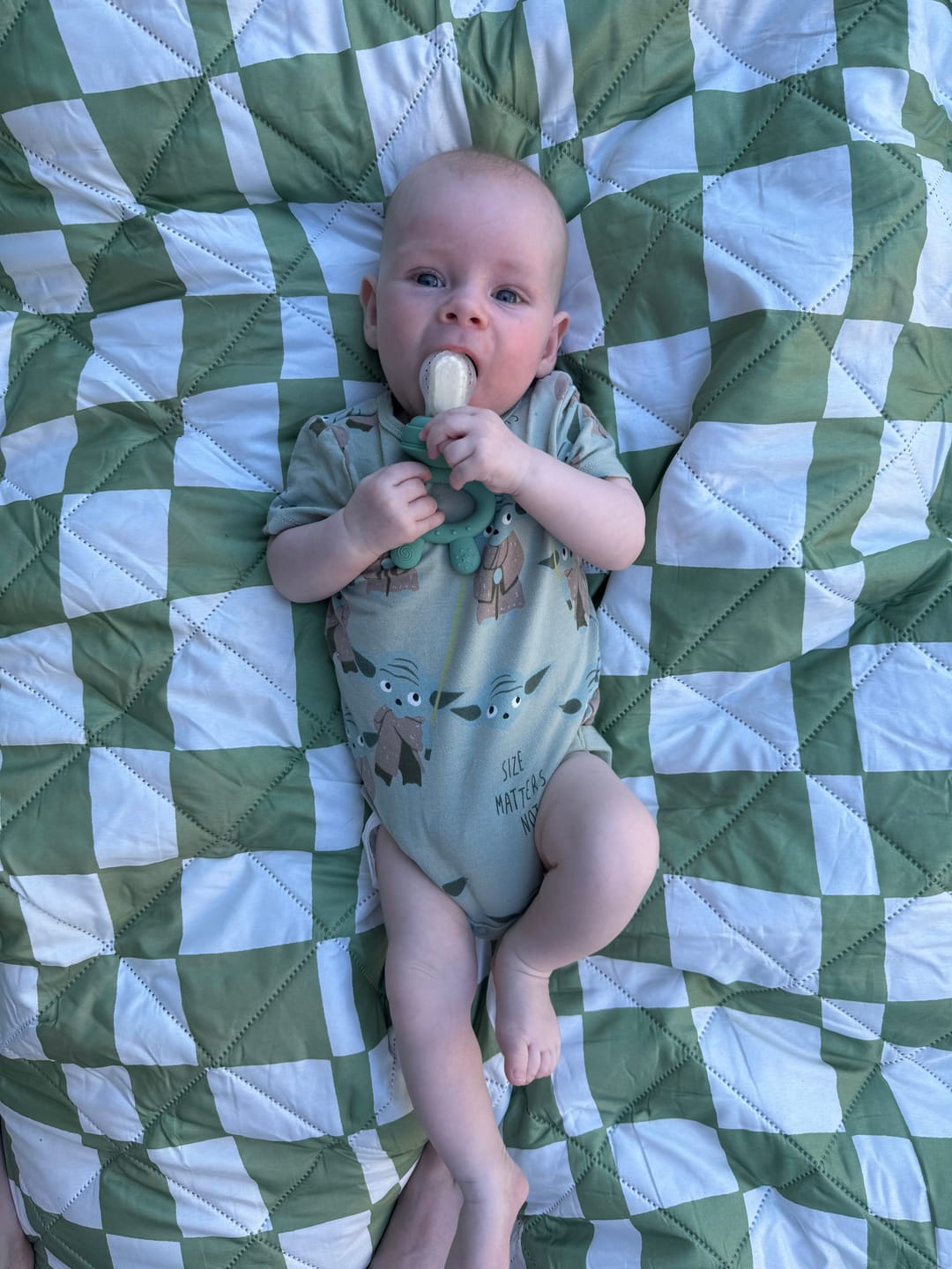 Customer photo review of Parker picnic rug