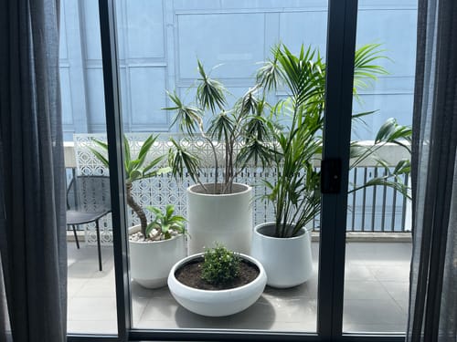 Customer photo review of Jasmine Artificial Hedge Screen / Green Wall Panel 100cm x 100cm UV Resistant