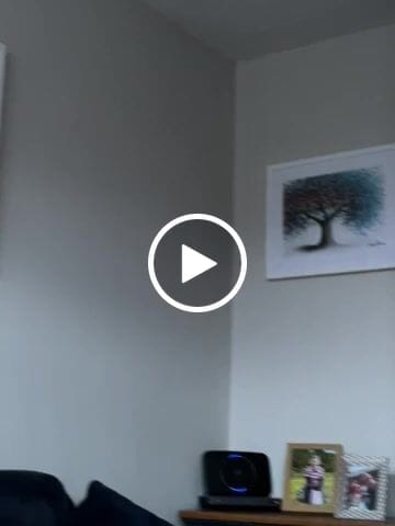 Customer video review of Tree Of Happiness Framed Art Print