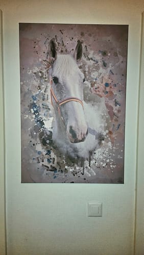Customer photo review of Poster auf Leinwand Claudia Nyffeler