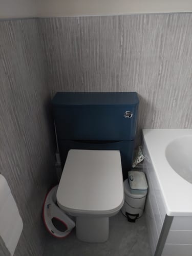 Customer photo review of Nuie Lunar 550mm Back to Wall WC Unit - Satin Blue