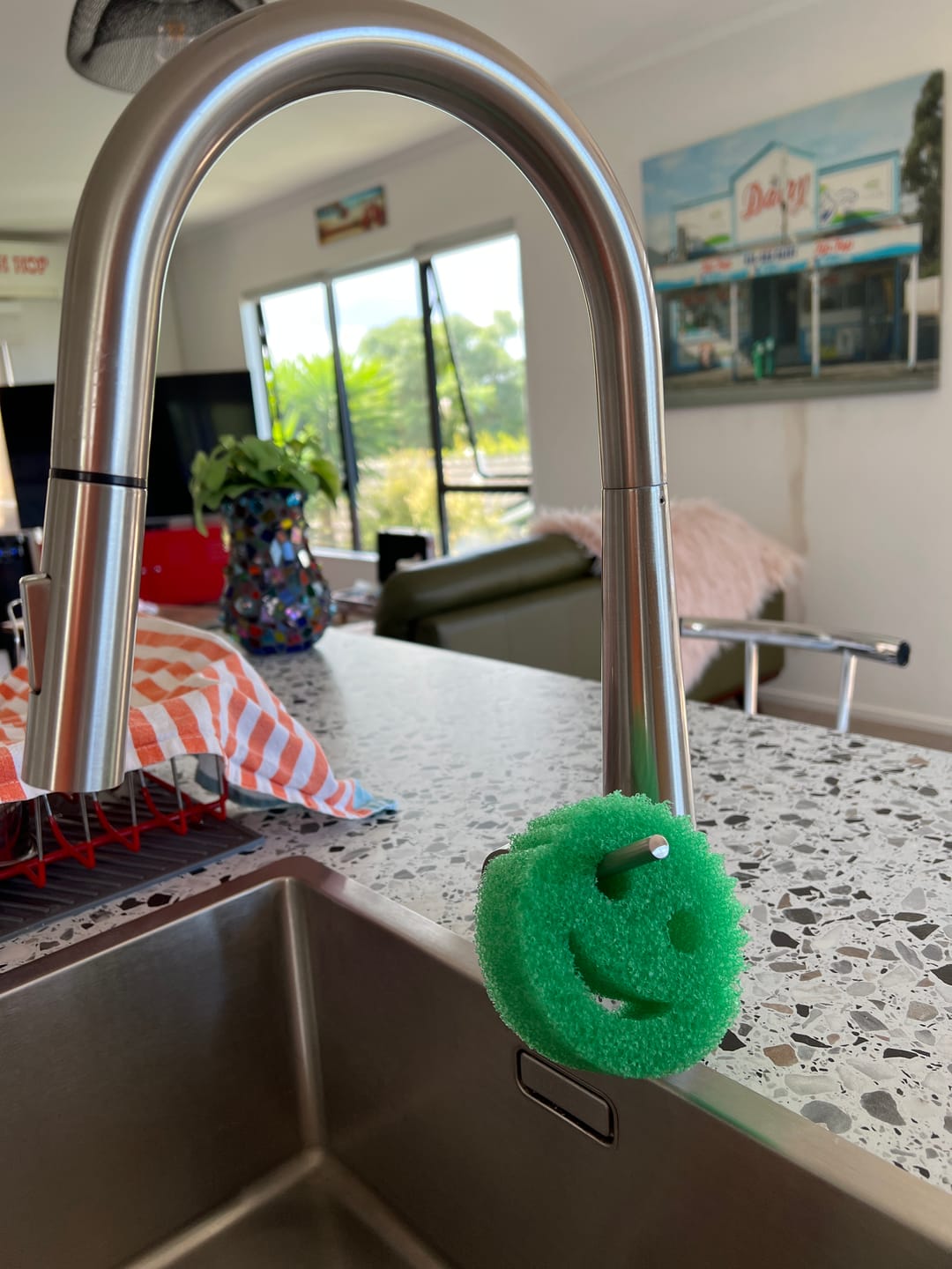 Customer photo review of Scrub Daddy 3 Pack