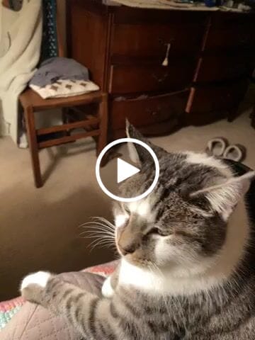 Customer video review of CoQ10 Ubiquinone 200MG | Microbiome Plus+