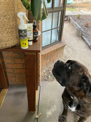 Customer photo review of Luxe Gift Pack