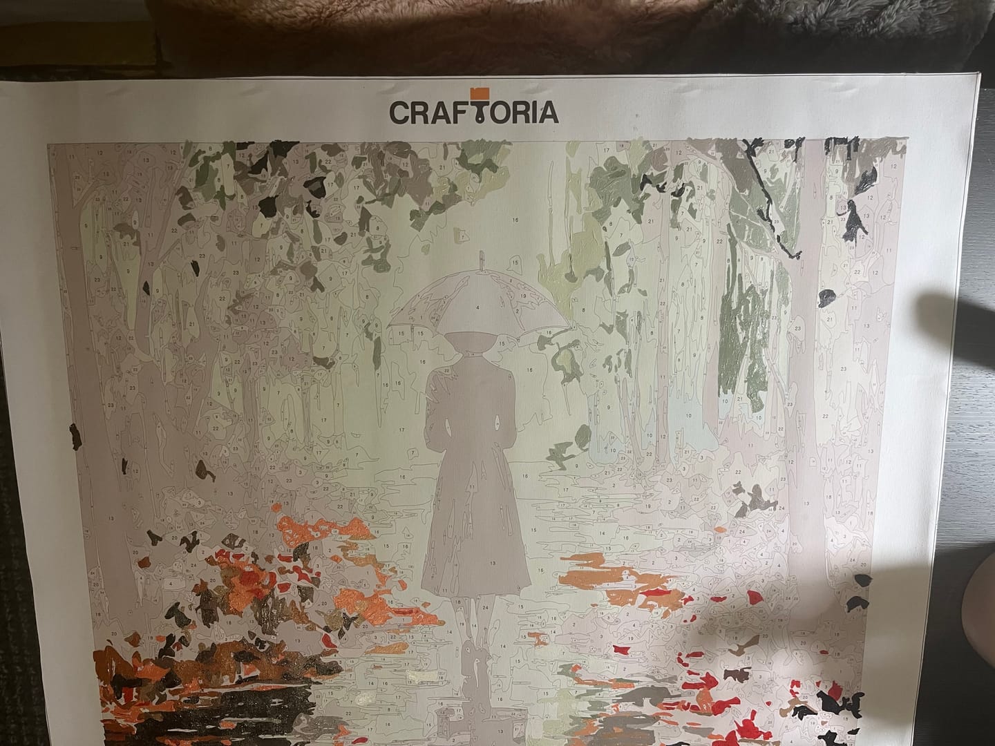 Customer photo review of Rose Strewn Path