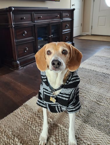 Customer photo review of Playa Poncho - Surprise Color