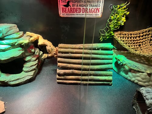 Customer photo review of Original Zen Mat - for 4'x2' based Original enclosures