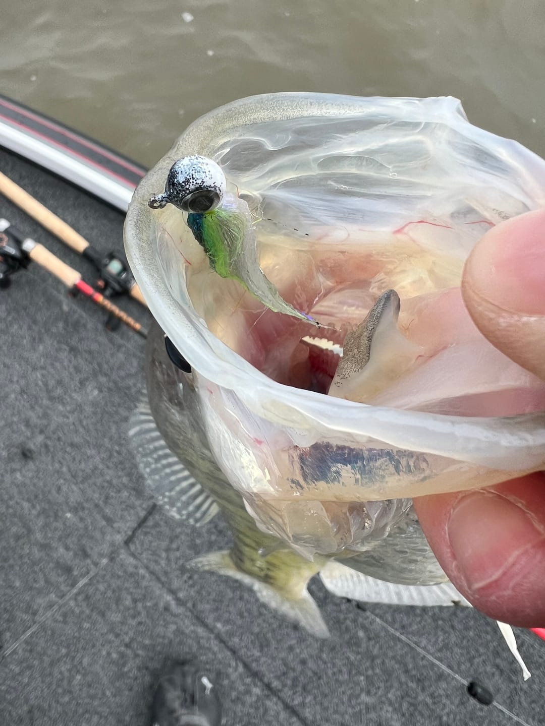 Customer photo review of 97% Purity Tungsten Barrel Weights | Carolina Weights | Bulk Pack