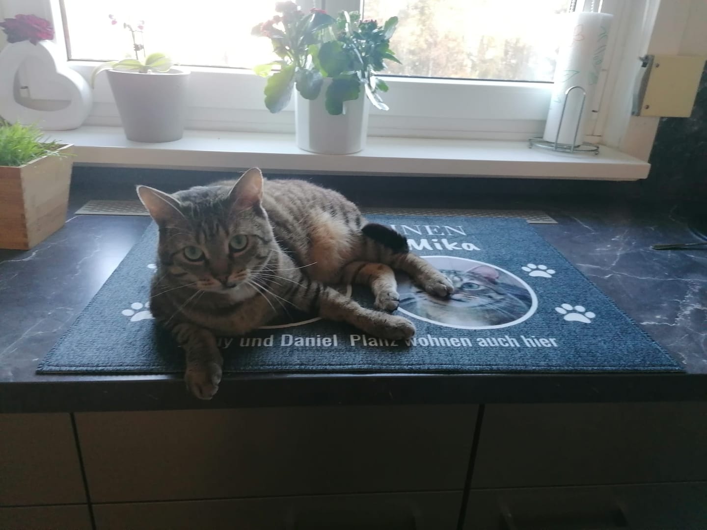 Customer photo review of Hier wohnt - Individuelle Haustier Fußmatte