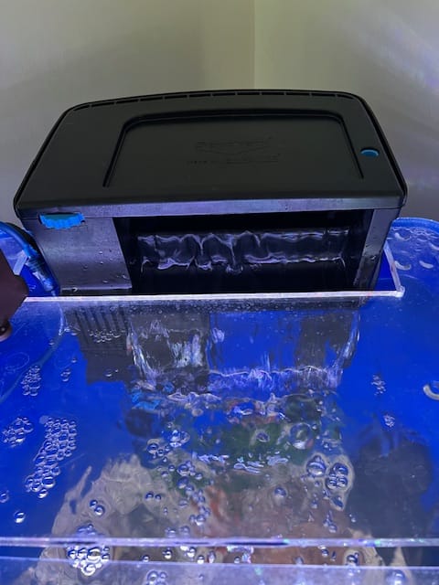 Customer photo review of Tidal Power Filters From Seachem/Sicce