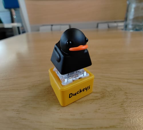 Customer photo review of Clickey | Single Key Fidget Toy