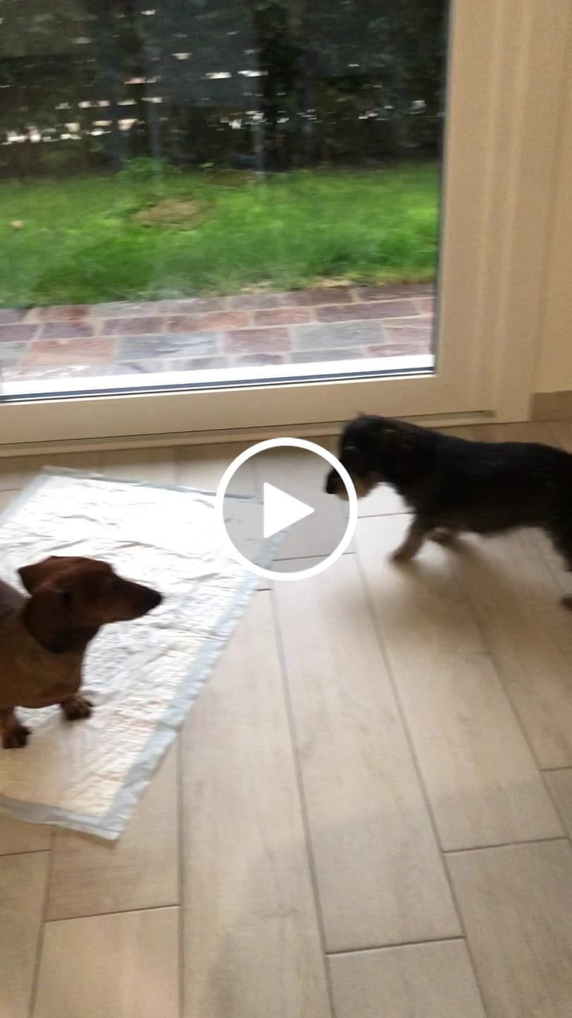 Customer video review of Power Move