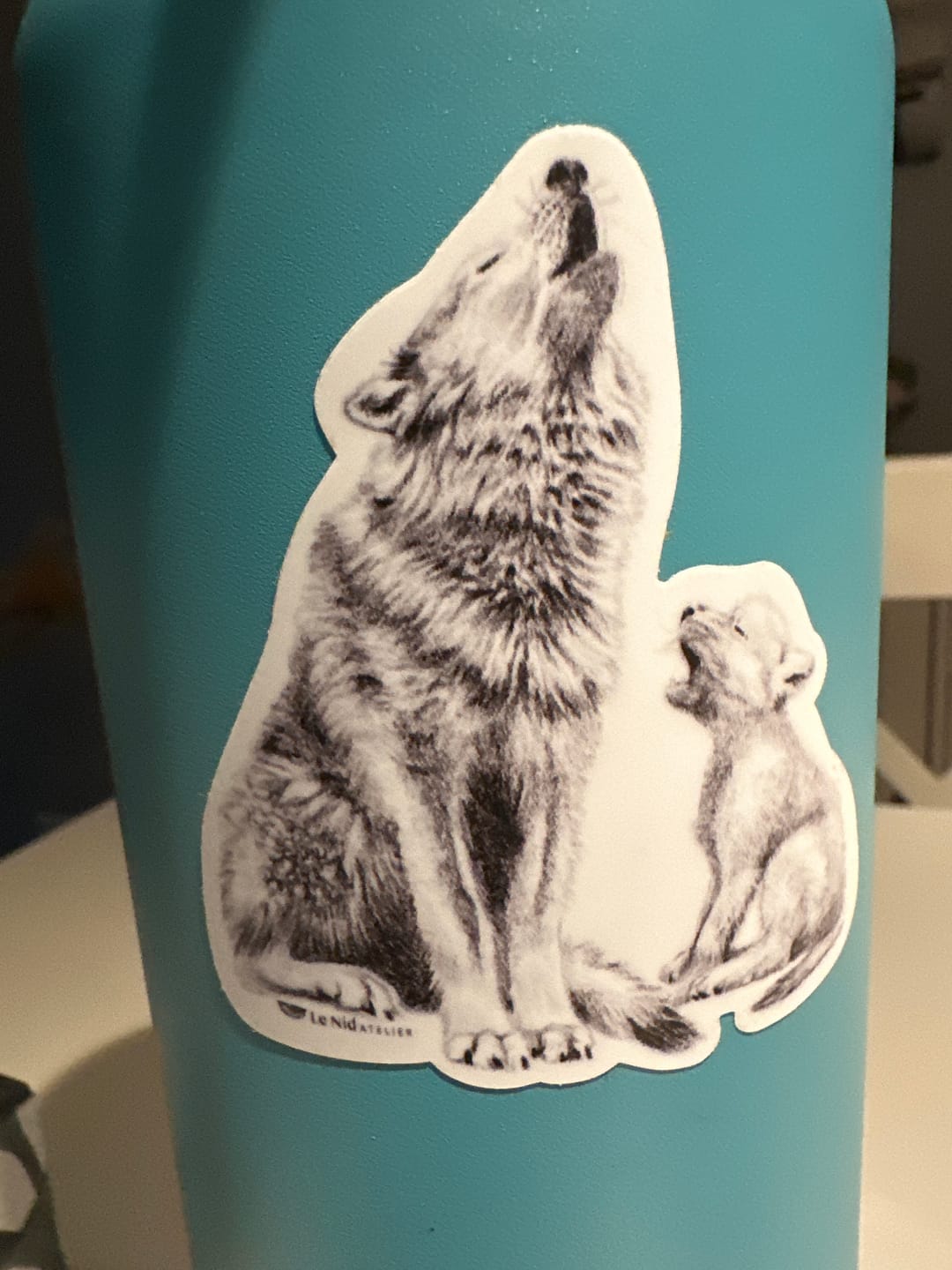 Customer photo review of BUNDLE of 5 Stickers for Water Bottle, Agenda or Computer
