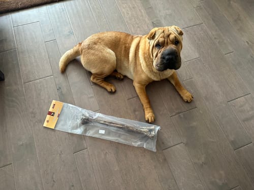 Customer photo review of Ostrich Long Bone. Long-lasting, Natural Dog Gnaw Treat by Savannah Pet Food