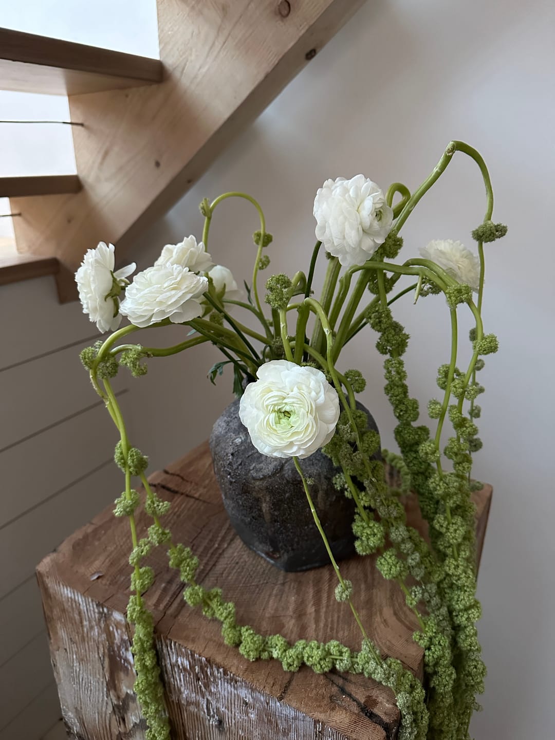 Customer photo review of Hanging Green Amaranthus