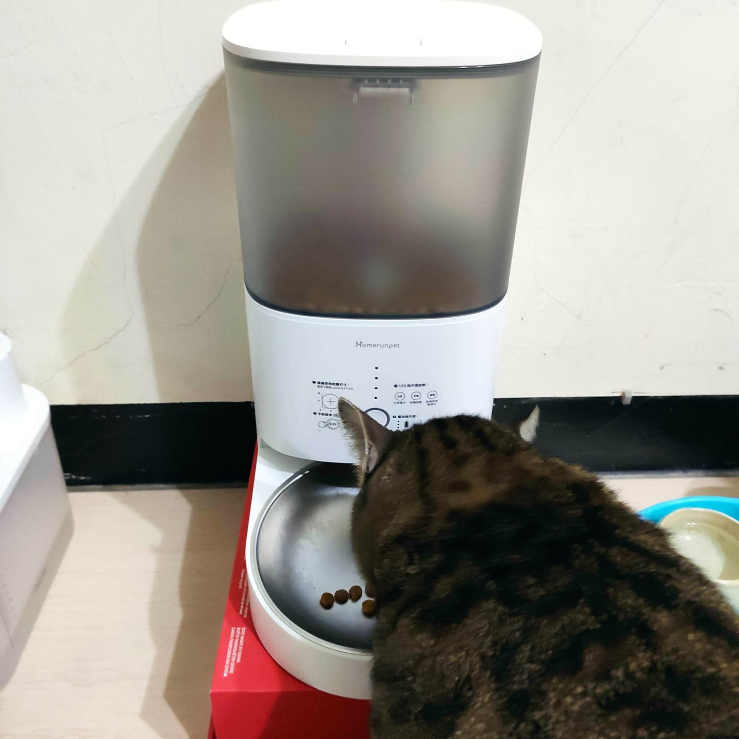 Customer photo review of 霍曼寵物餵食器