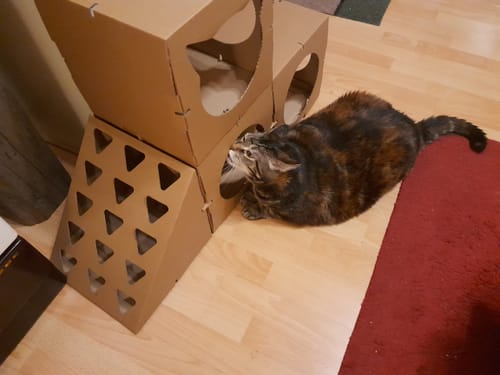 Customer photo review of Katzenhaus Superior Castle - braun