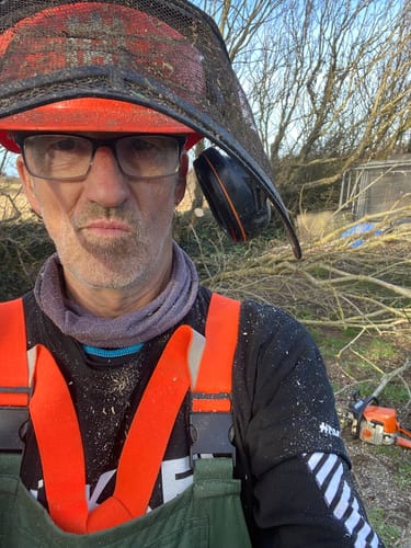 Richard V. review of Mushroom Gummies image 1 out of 2