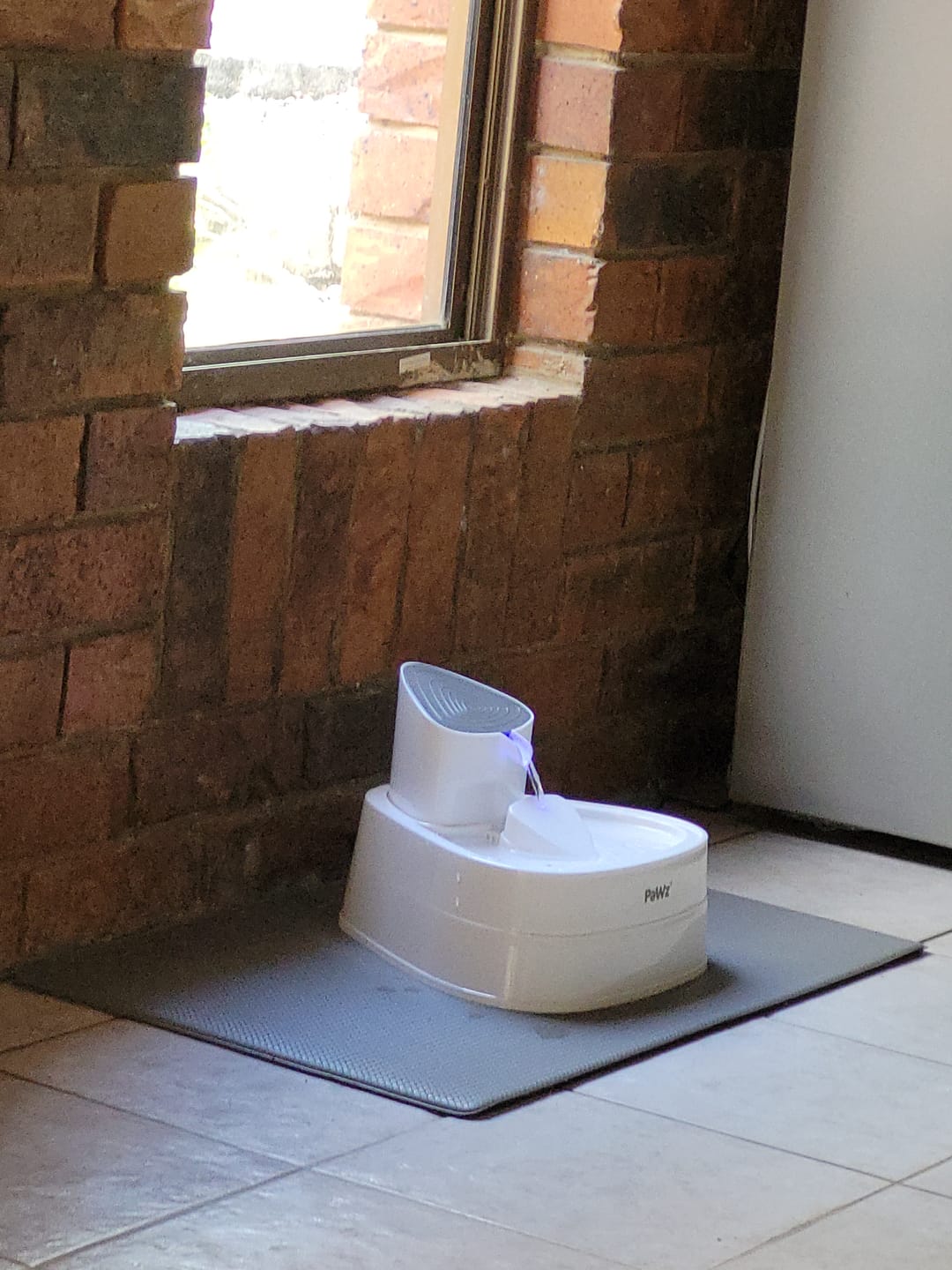 Customer photo review of PaWz Pet Water Fountain Dispenser 3L