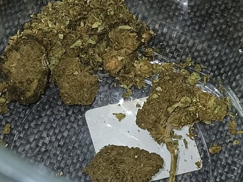 Customer photo review of HHC Blütenmix 20g