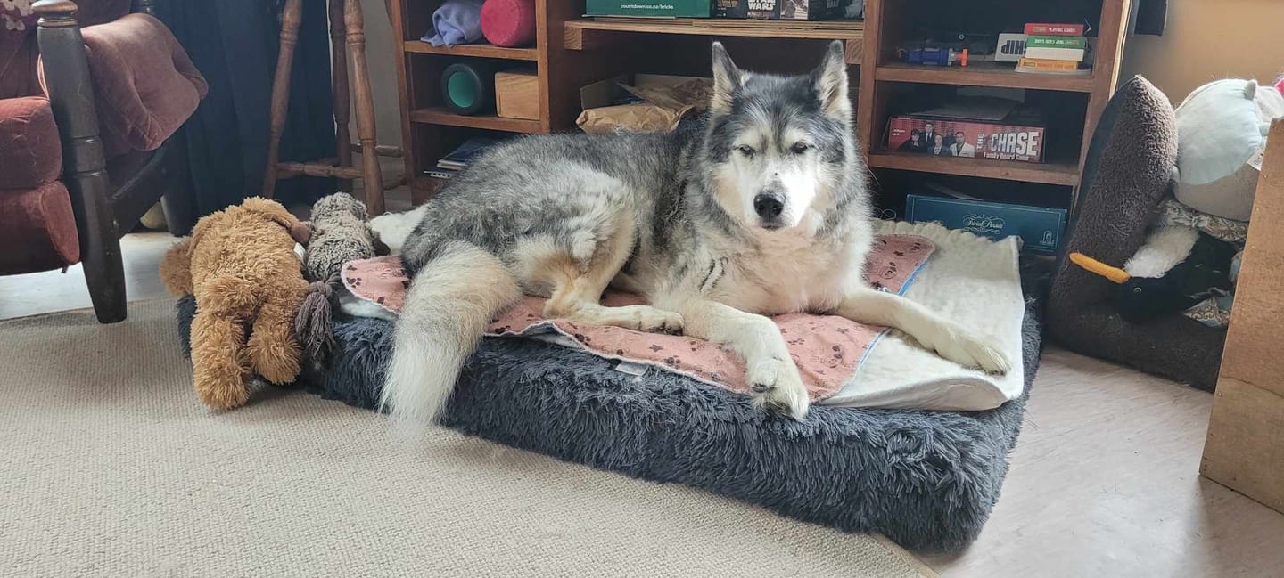 Customer photo review of Brooklyn® Ultra Memory Foam Bed