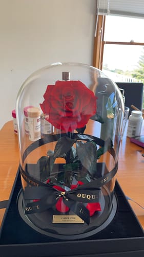 Customer photo review of The Everlasting Rose - Red
