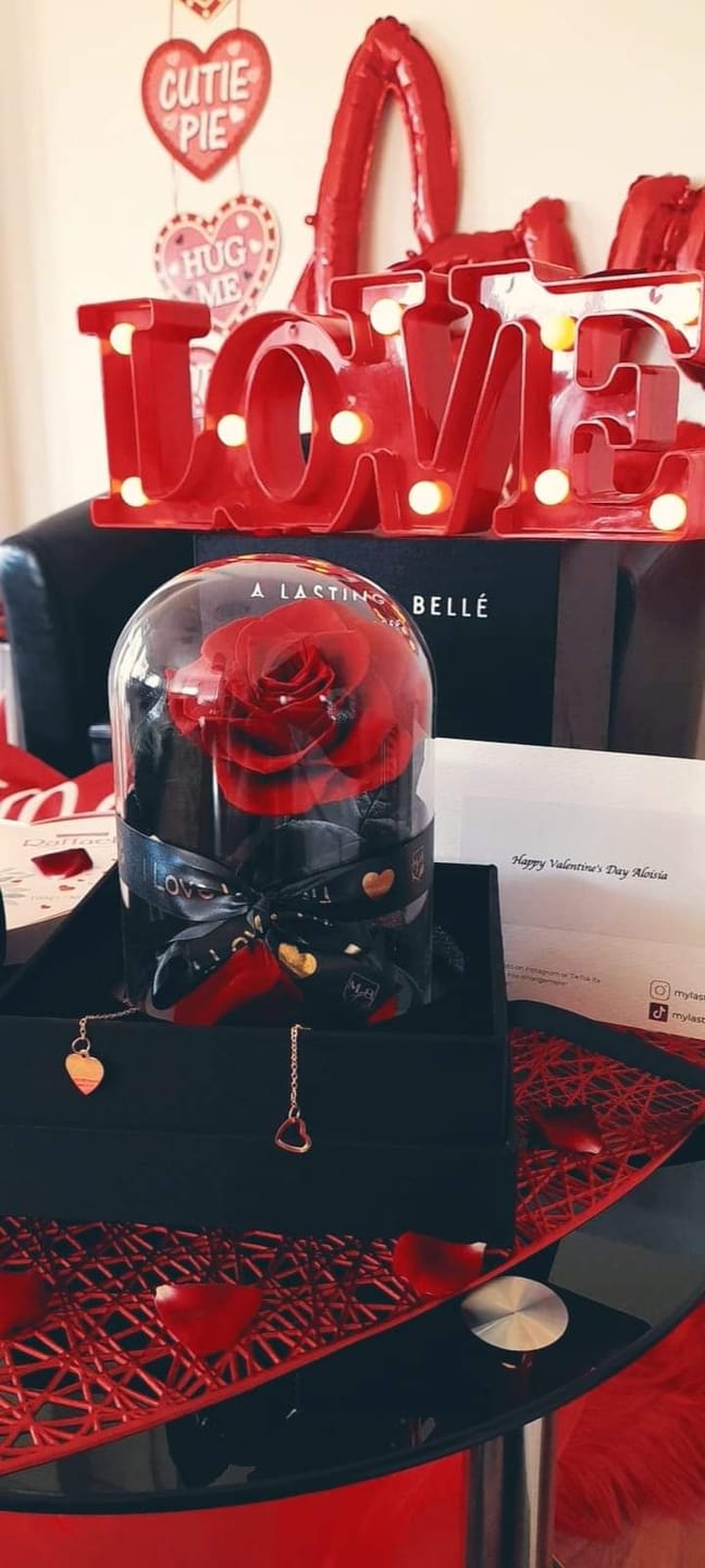 Customer photo review of RED Mini Rose Dome