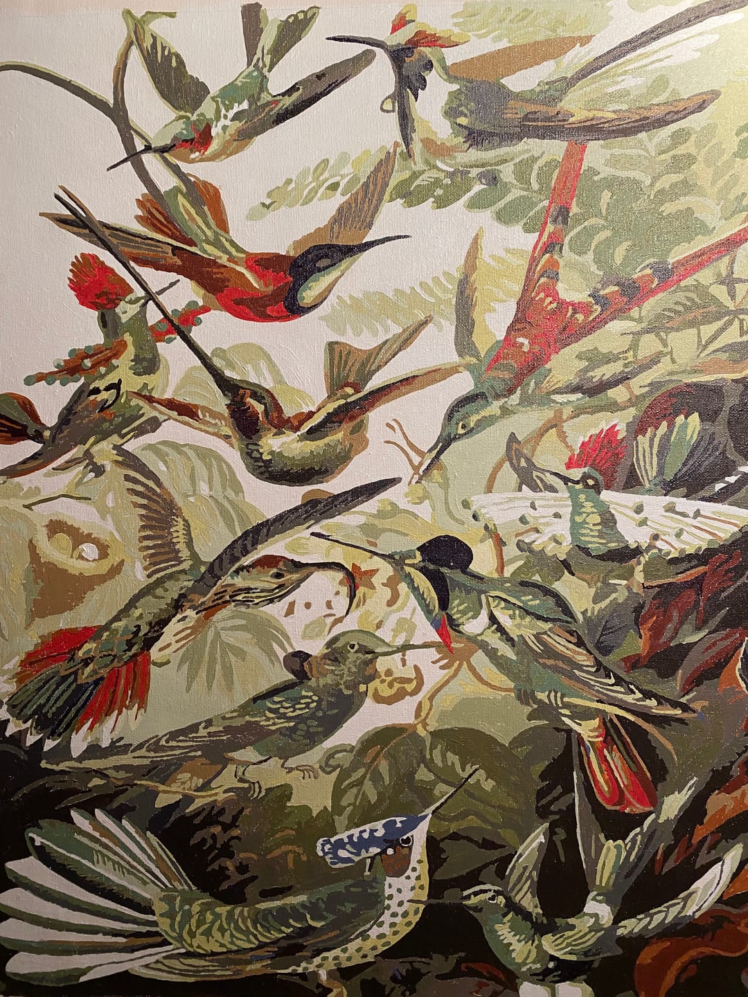 Customer photo review of Malen nach Zahlen - Trochilidae–Kolibris von Ernst Haeckel