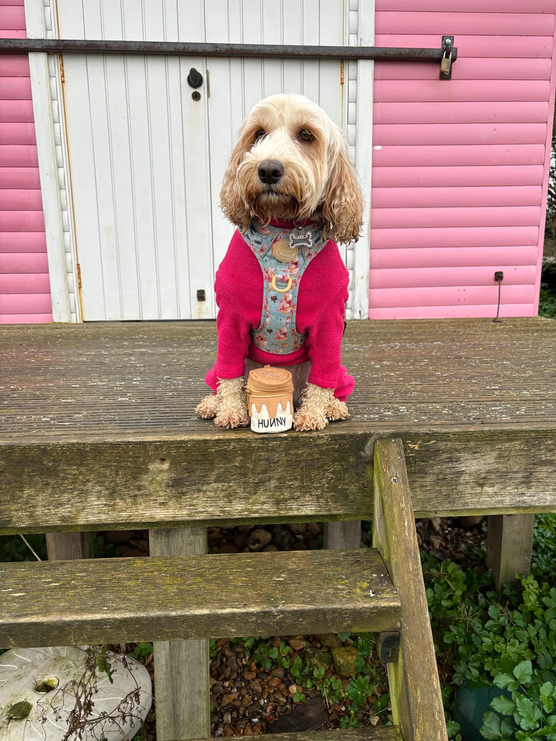 Customer photo review of Treat Pouch - Hunny Pot