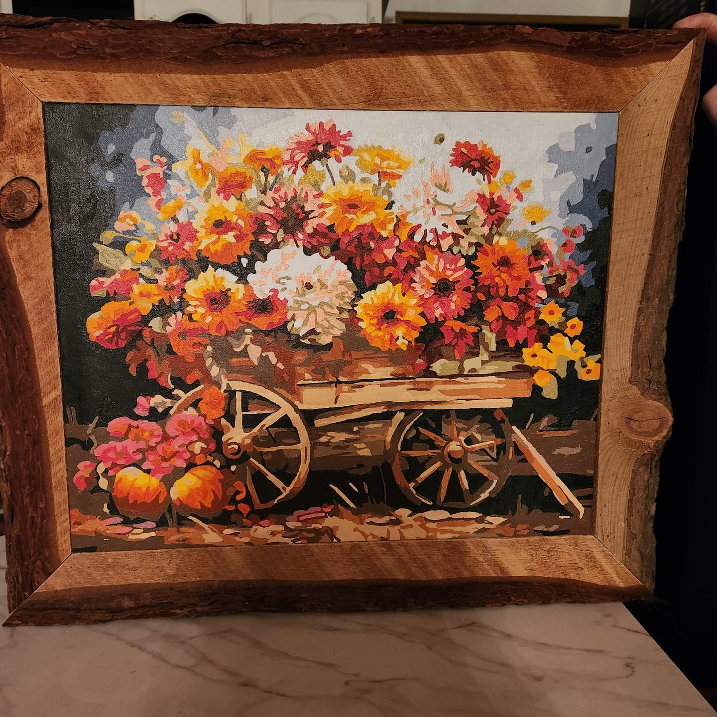 Customer photo review of Wheelbarrow Harvest