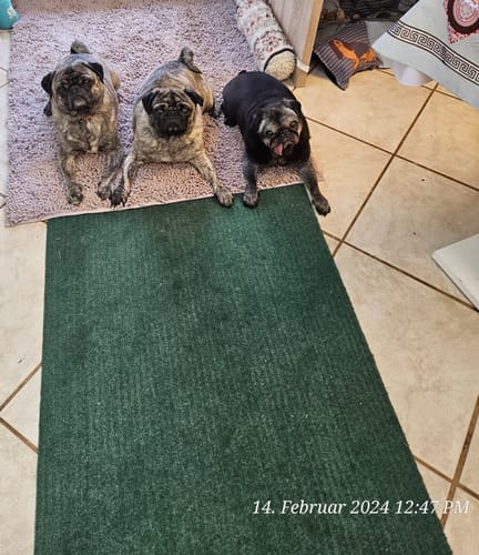 Customer photo review of Premium - CleanyMat