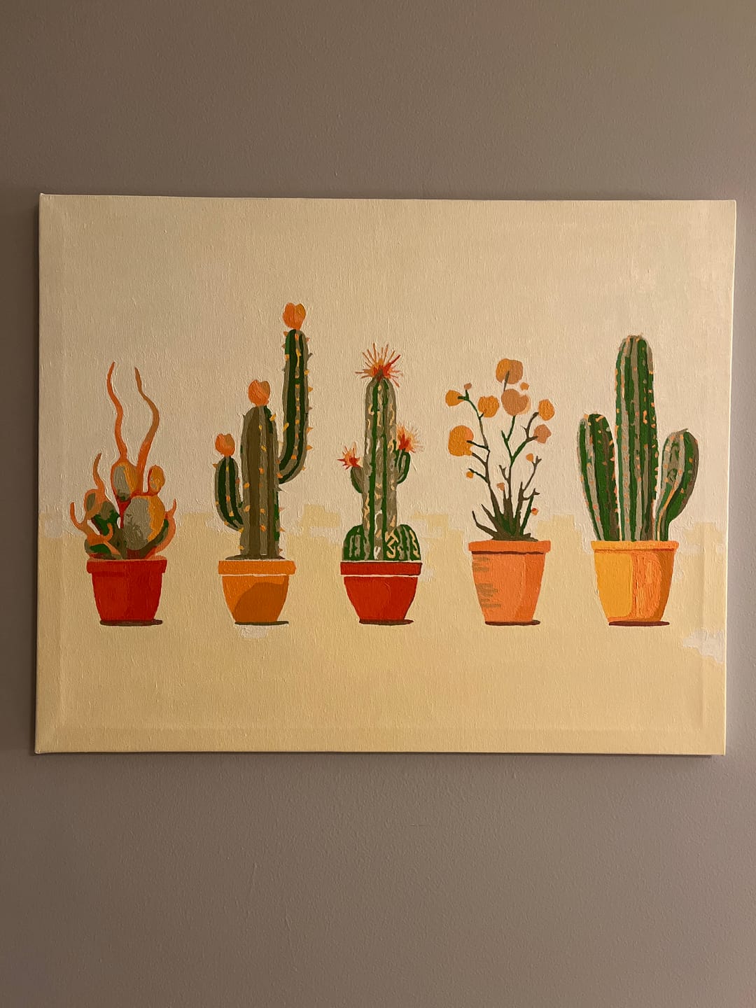 Customer photo review of Minimalist Cactus