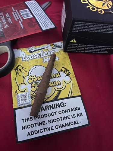 Customer photo review of Watermelon Dream LooseLeaf Minis (40 Count)