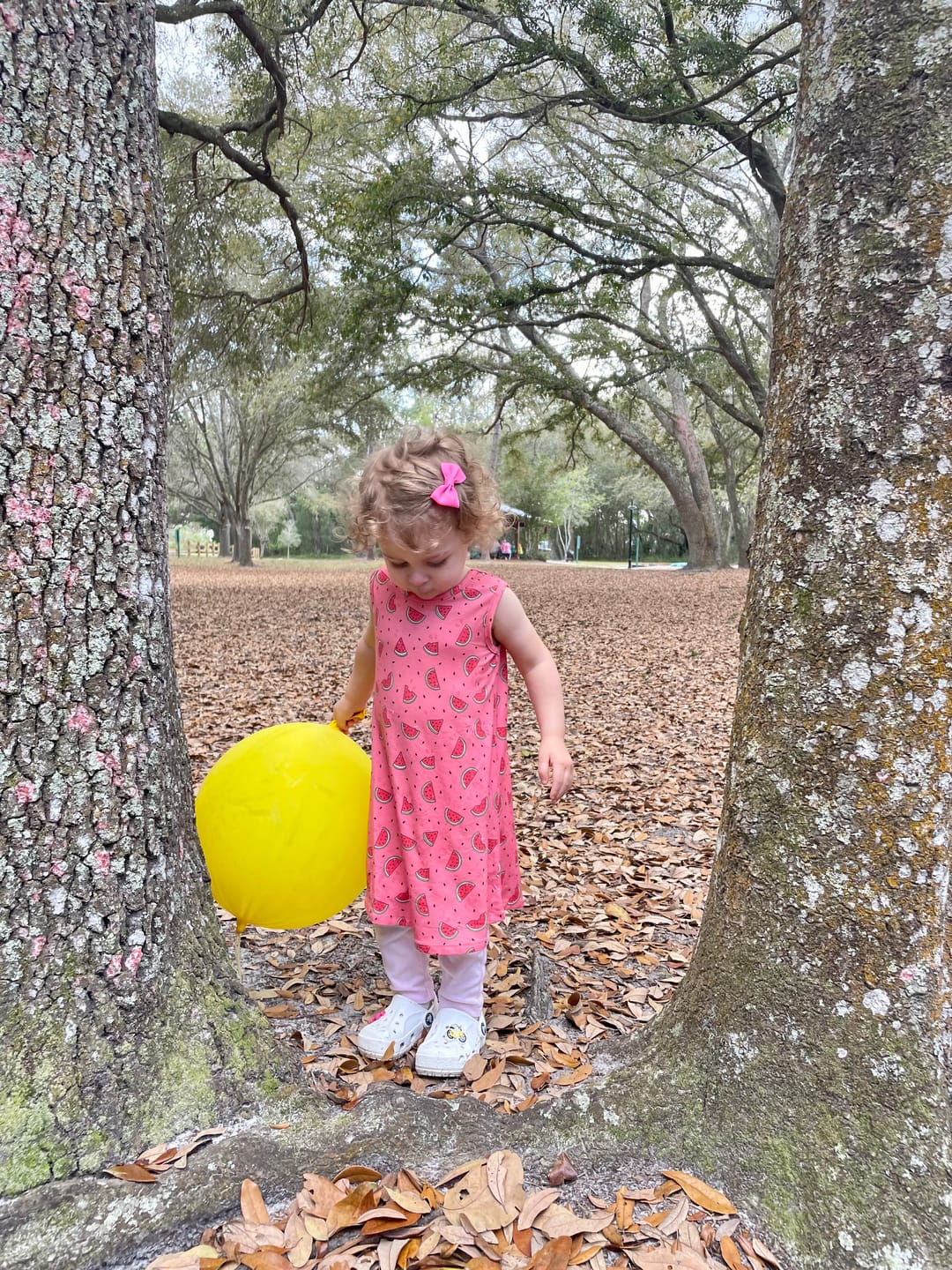 Customer photo review of Watermelon Bamboo Girls' Dress