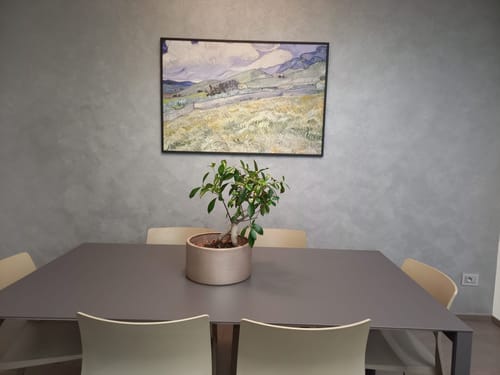 Customer photo review of Wheatfield and Mountains 1889, Vincent Van Gogh